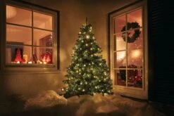 Tarrington House Diamant-LED Lichtervorhang, 100 Warmweiße LEDs, 9.9 M, 3.6 W, Dunkelgrün -VIDAXL Store 0b079555 5e8a 47c9 8692 b7c39f71ac13