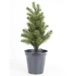 LED Weihnachtsset Für Eingang Haustür Kranz Girlande 2 Bäume Beleuchtet 4teilig -VIDAXL Store 373ce955 e1f2 4a52 bc2e 798c286fc6c0