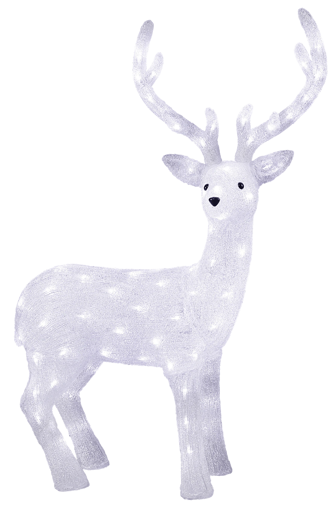 Tarrington House LED-Acryl Rentier, 70 X 25 X 102 Cm, 136 LED, 10 W, Kaltweiß 1 Tarrington House LED-Acryl Rentier, 70 X 25 X 102 Cm, 136 LED, 10 W, Kaltweiß