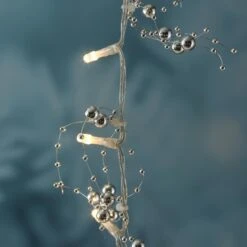 LED Lichterkette Perlen 20 Warmweiße LED L: 0,95m Dekoration Silberne Perlen -VIDAXL Store 7773f61e 4ff9 47c0 813c 1b795cbb4561