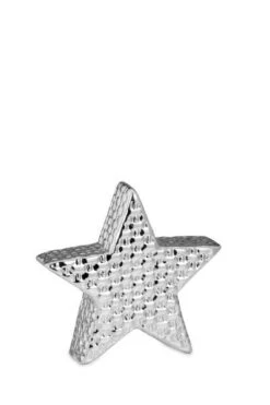 Stern Stehend Mittel Weboptik Silberglänzend -VIDAXL Store e5eadaed 97cf 4d31 946f 9a5fe9faef7f 3